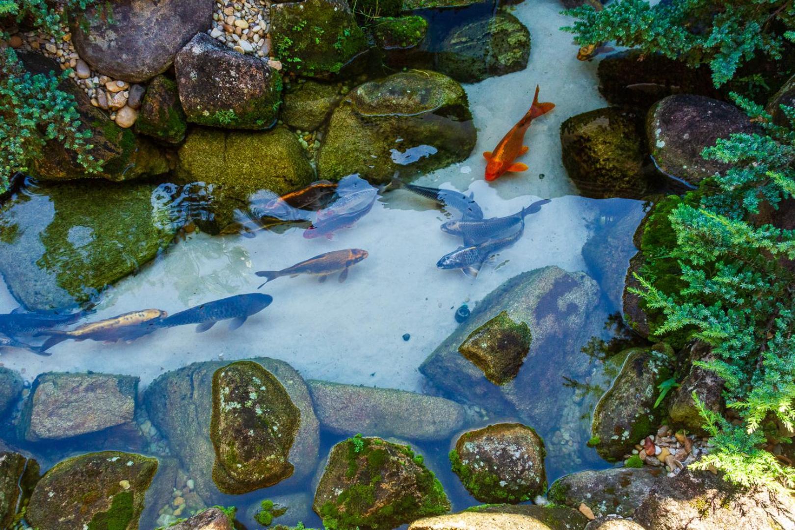 Pousada Aconchego Otel Araquari Dış mekan fotoğraf